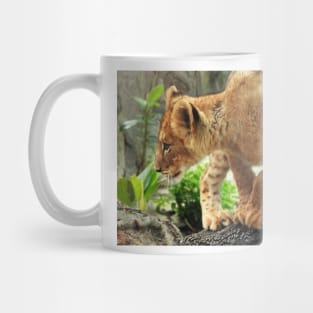 Lion Cub Mug